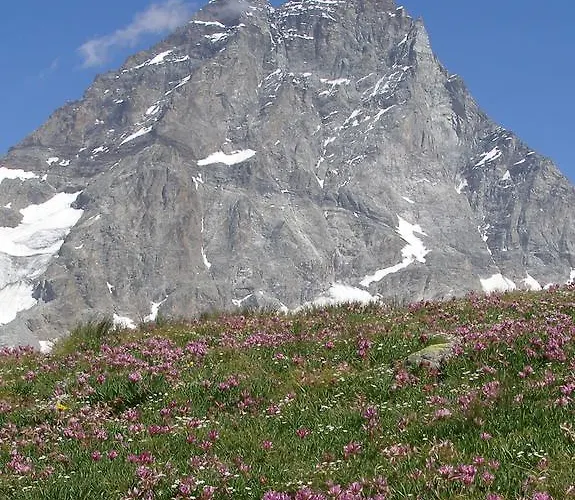 Dama Bianca Hotel 3*