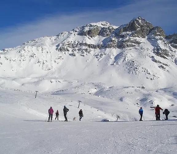 酒店 达玛比安卡酒店 3*